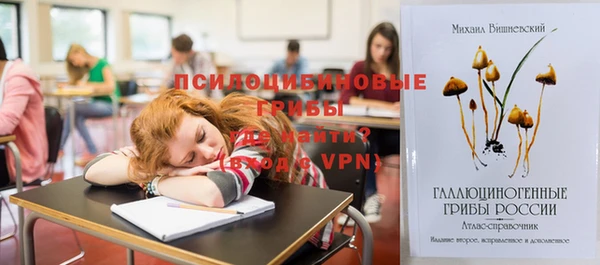 винт Алексин