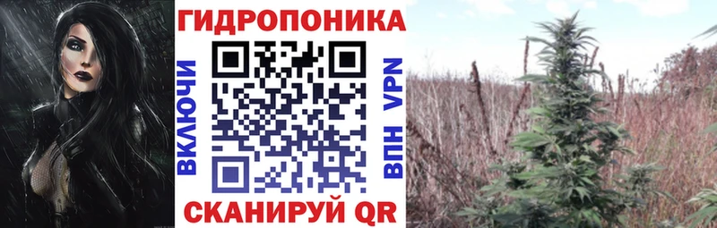 Бошки Шишки семена  omg рабочий сайт  Шахты  где продают  
